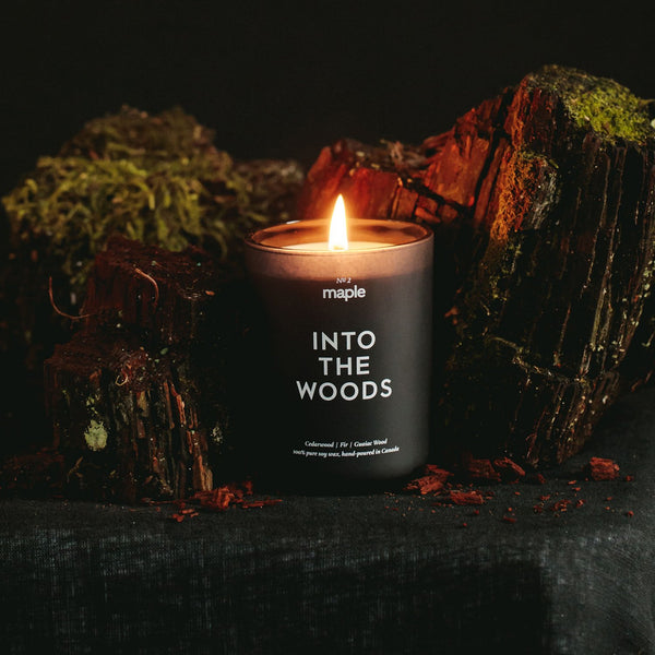 into_Woods_24572730-609e-4c41-